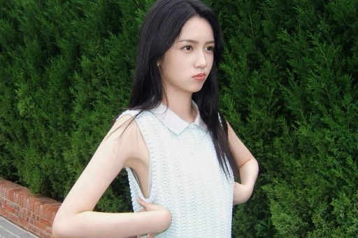 张艺谋也没想到养了27年的陈婷竟会亲手摘掉张艺谋妻子的认证